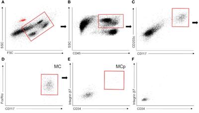 In Patients With Obesity, the Number of Adipose Tissue Mast Cells Is Significantly Lower in Subjects With Type 2 Diabetes